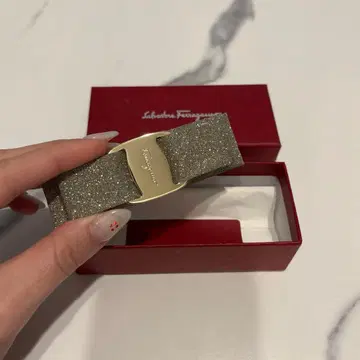 Salvatore Ferragamo 헤어 클립 그레이