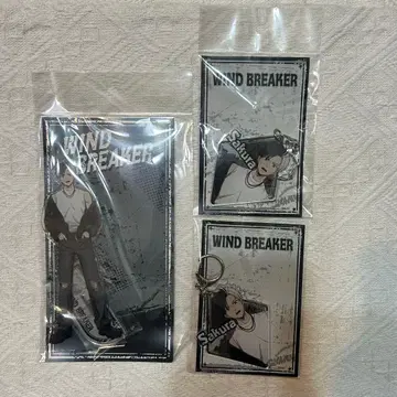 윈브레 벚꽃 하루카 락가죽 아크릴 스탠드