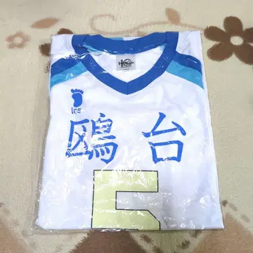 하이큐!! 유니폼 호시우미 코라이 L 사이즈