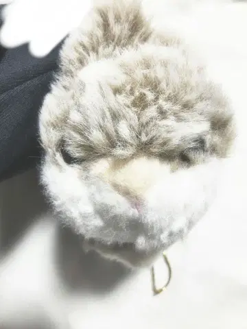 토끼 봉제 인형