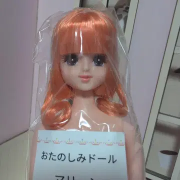 리카짱 캐슬 즐거운 인형 오렌지 믹스 머리 마린