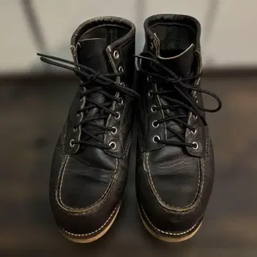 레드윙 아이리쉬 세터 도그택 90's 블랙