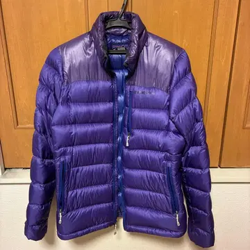 patagonia 다운