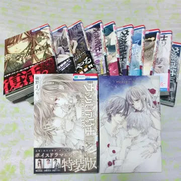 뱀파이어 기사 Memories 전 11권