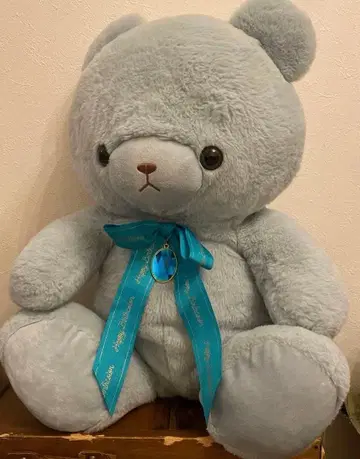 Happy Birthday Bear 버스칼라 베어 12월