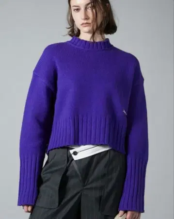 PRANK PROJECT 메리노울 숏 니트