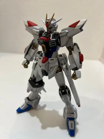 HG 스트라이크 프리덤 건담 페인팅 완성품
