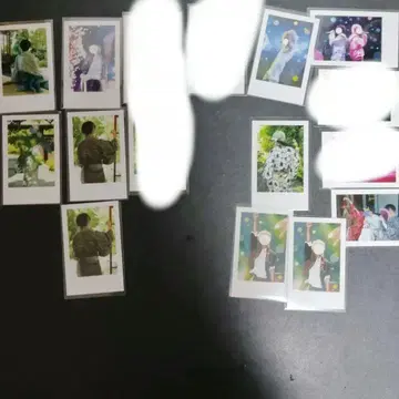 이레이스 실사 폴라로이드 새우 페스티벌