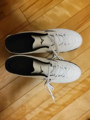 미즈노 모나르시다 트레이닝 슈즈