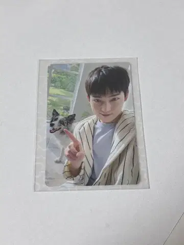 ENHYPEN 설문 트레이딩 카드 혜택