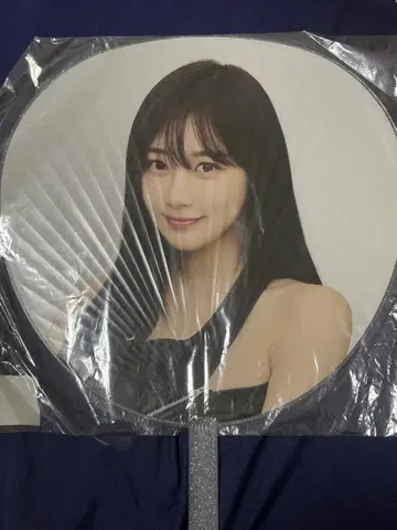 aespa 지젤 부채 도쿄돔