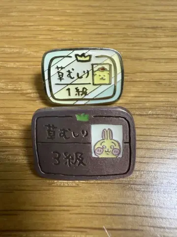 치이카와 핀 배지