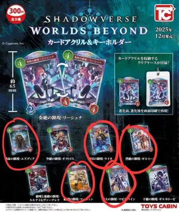 Shadowverse 카드 아크릴 & 키링