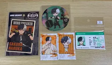 윈드브레이커 카드 코스터 묶음 판매 사쿠라 하루카