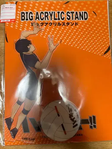 하이큐 시마무라 BIG 아크릴 스탠드 카게야마 토비오 히나타 쇼요