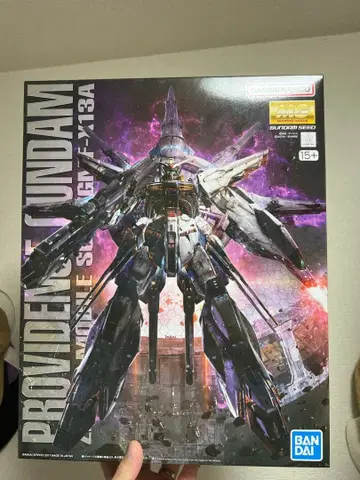 MG 1/100 프로비던스 건담