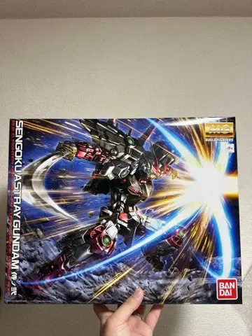 MG 1/100 전국 아스트레이 건담