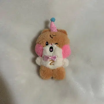 Zeroni Home party 비니니 한빈 ZB1 봉제 인형