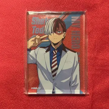 히로아카 토도로키 쇼토 아크릴 블록 아크스타