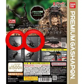 생물대도감 어드밴스 킬라파톱사슴벌레 케이스케이 대형세트