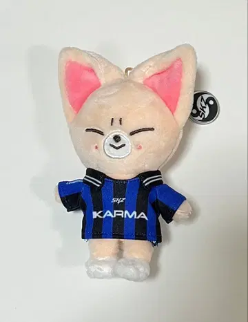 폭시니 KARMA skzoo 키링 스키즈