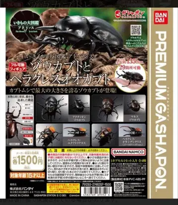 생물대도감 코끼리장수풍뎅이와 헤라클레스 장수풍뎅이 미사용 새상품 가챠