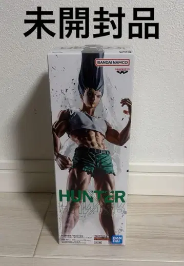 헌터헌터 피그라이프 곤 피규어