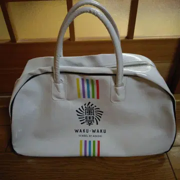 WAKU-WAKU SCHOOL OF ARASHI 백