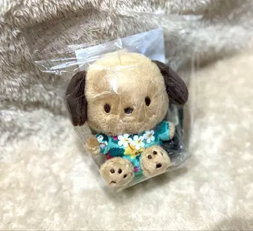 하와이안 호스 산리오 포차코 일광화상 산리오 일광화상 포차코