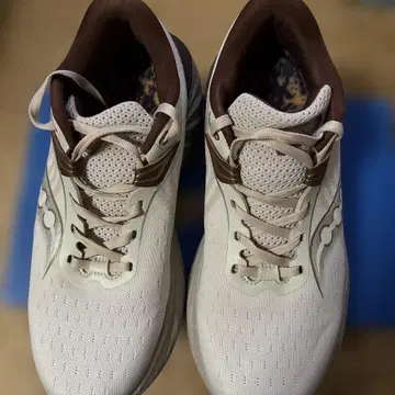 Saucony 트라이엄프22 26.5 베이지/브라운