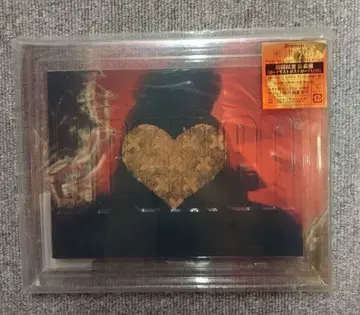 요네즈켄시 앨범 Bremen 최초 한정