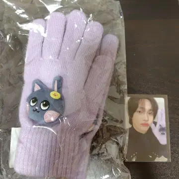 RIIZE 원빈 Hug MD 장갑 그로브 트레이딩 카드