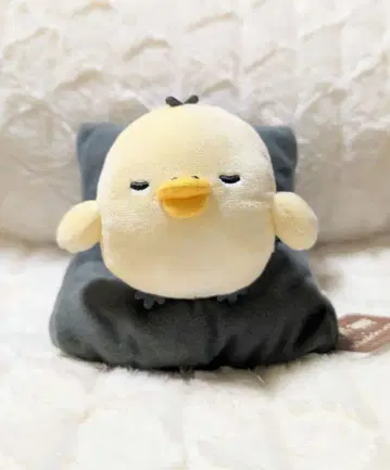 리락쿠마 BASICRILAKKUMA 집에서 편안한 봉제 인형 키이로이토리