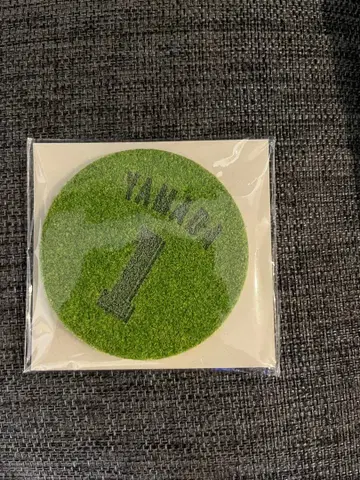 야쿠르트 스왈로스 야마다 테츠토 코스터