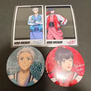 WIND BREAKER 스카잔 우메미야 츠바키노