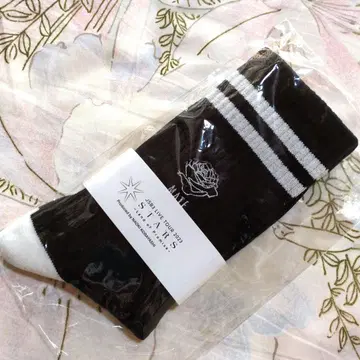 제3대 고바야시 나오키 멘프로 Tabio 양말