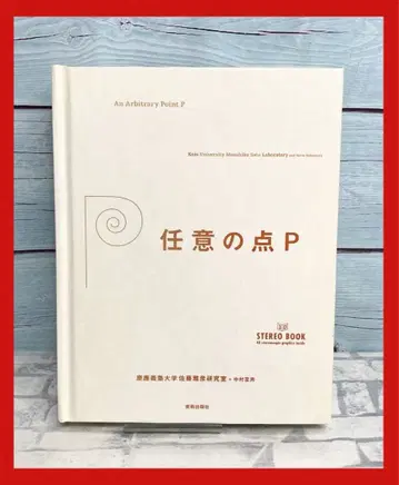 임의의 점 P : 3D 스테레오 북