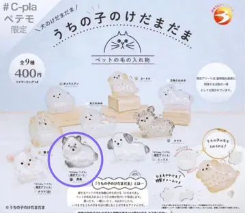 우리 아이 털뭉치 강아지 털뭉치 한정판 모듬 블랙 시바견