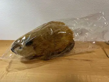 SUPER BEAVER 봉제 인형 요시토쿠 슈퍼 비버짱