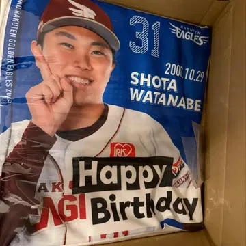 라쿠텐 이글스 와타나베 쇼타 벌스데이 굿즈 쿠션