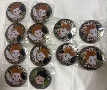 헌터헌터 중국 한정판 캔뱃지 곤