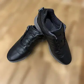 FootJoy 골프화 블랙