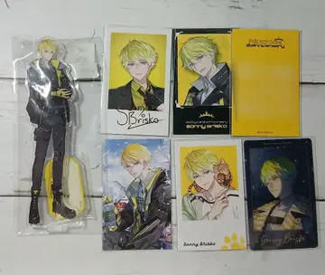 니지산지 EN 써니 블리스코 묶음 판매