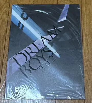 도리보 팜플렛 후마주리