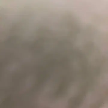 사진은 나중에,, PAUL&JOE 36 프랑스제