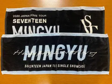 SEVENTEEN 세부치 MINGYU 민규 타월