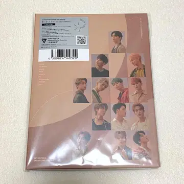SEVENTEEN 떨어지는 꽃잎 CARAT반