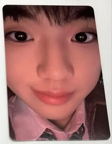 EVNNE 지후 트레이딩 카드