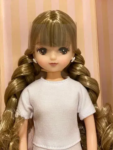 리카짱 캐슬 2022년 고베 산노미야 BASIC 모델 키라짱 트위스트 A