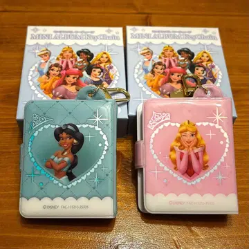 디즈니 프린세스 시크릿 키링 홀더 타입 앨범